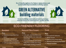 Green Alternative Building Materials Infographic (Eco Friendly Flooring, Know Your Paint, Eco-Friendly Walls, Green Roof Options)