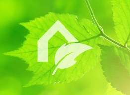 Green leaves on background, Agency logo ontop
