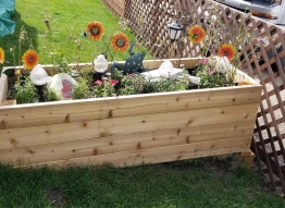 Photo of a planter box filled with flowers